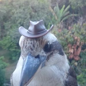 Meet your Posher, Derick